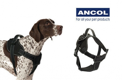 anxol extreme tractive dog harness black