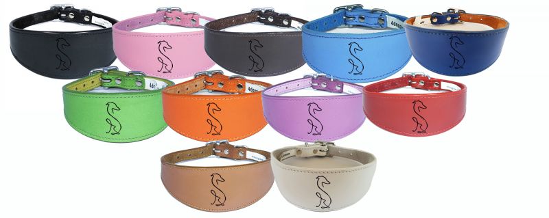 Sighthound Whippet Greyhound Collar Padded Backing Laser Engraved D42