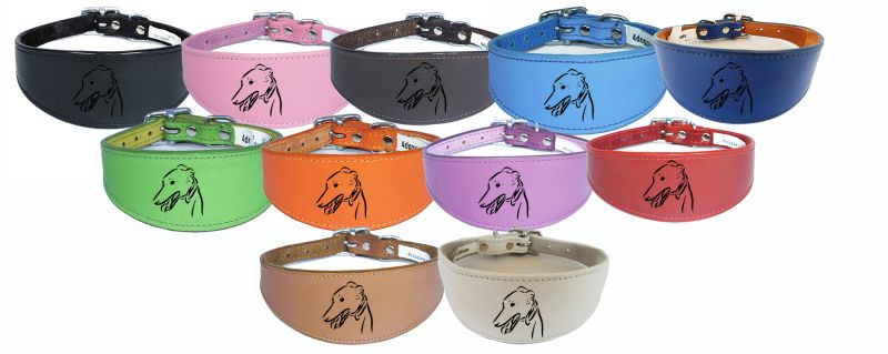 Sighthound Whippet Greyhound Collar Padded Backing Laser Engraved D43