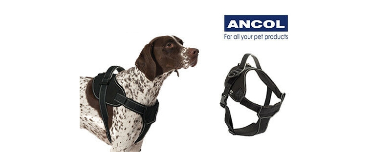 anxol extreme tractive dog harness black